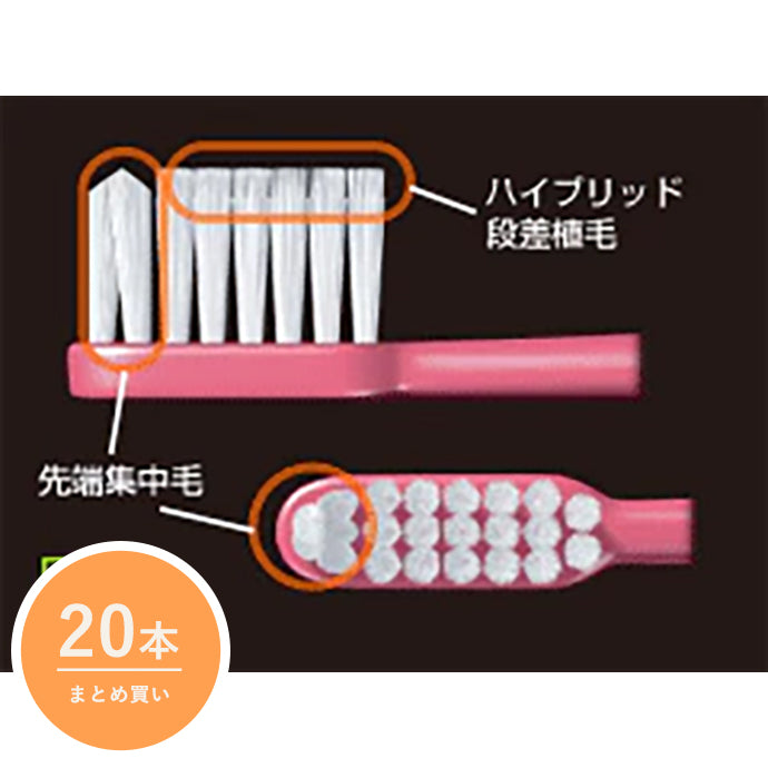 【便利なまとめ買い 20本入り】ルシェロ歯ブラシP-10［歯周病予防］