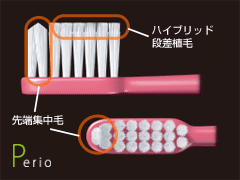 ルシェロ歯ブラシP-10［歯周病予防］