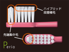 Jhルシェロ歯ブラシP-10M40本 ルシェロ 歯ブラシ p-10m」の人気商品 Jhルシェロ歯ブラシP-10M40本 ルシェロ 歯ブラシ p-10m」の人気商品